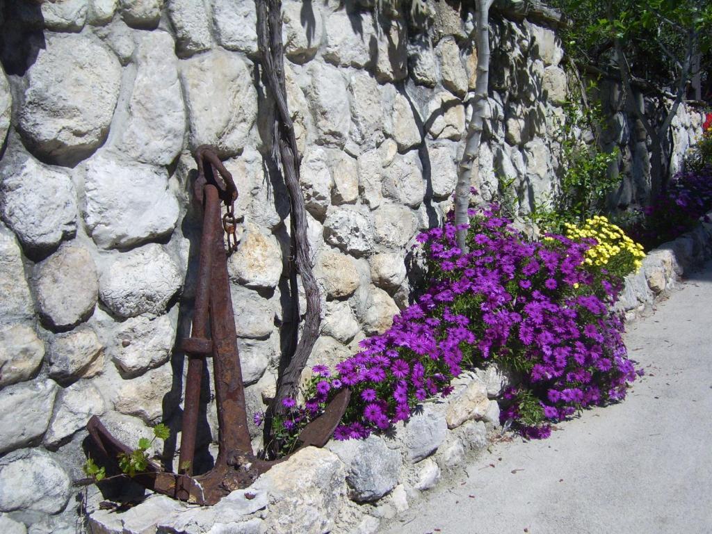 Apartments Villa More Makarska Exteriör bild